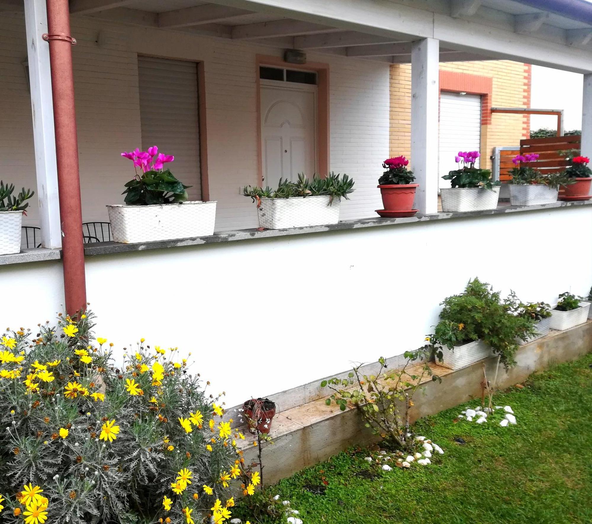 Romadamare Villa Passoscuro Dış mekan fotoğraf